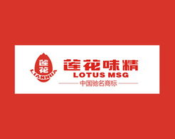 福來品牌營(yíng)銷策劃公司 2013年全案營(yíng)銷策劃回顧與展望